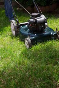 More Facts About the Lawn-Care Business Image